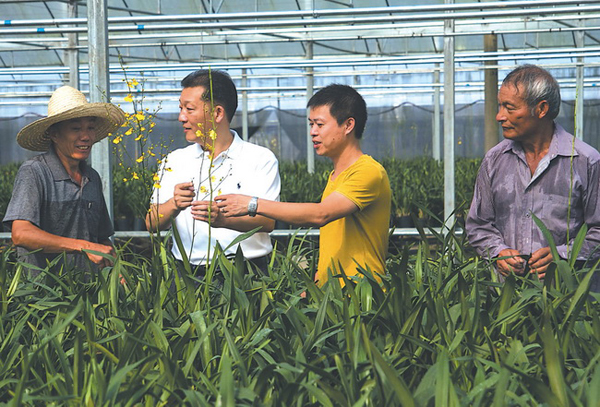 2015年6月27日，廖俊波（左二）在铁山镇东涧花卉基地与农民交谈。徐庭盛 图